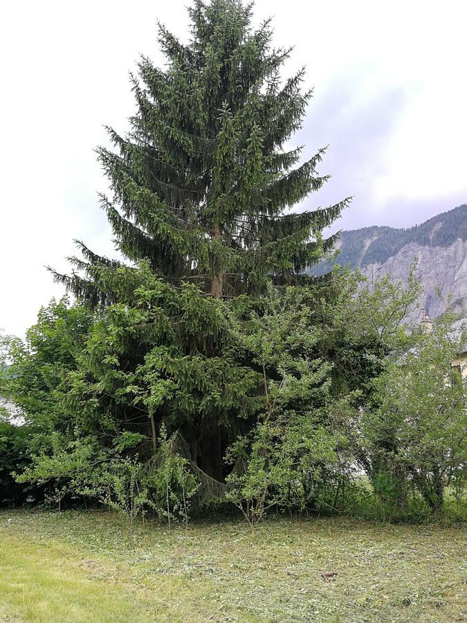 Sport'Hotel - Residence De Milan Le Bourg-d'Oisans Luaran gambar